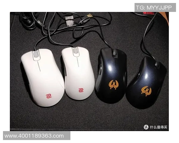 CSGO新手必看：全面解析耐力系统与实战技巧指南