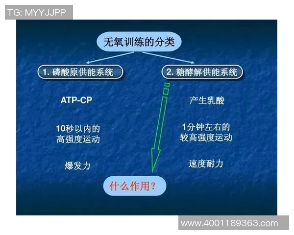 南京羽毛球队配合表现的数据分析与战术优化研究