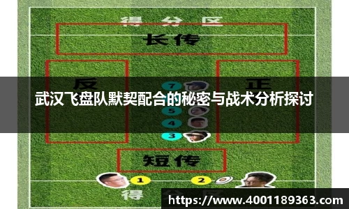 武汉飞盘队默契配合的秘密与战术分析探讨